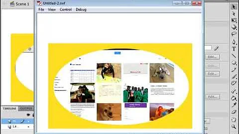 How to import video & use mask layer on Adobe Flash Professional