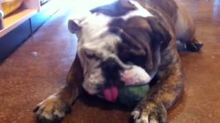 Leo's 1st day at Kriser's