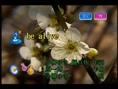 小柳ゆき (코야나기 유키) - be alive (KY 41090) 노래방 カラオケ