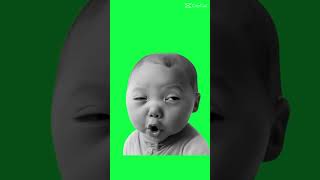 Hamachi mambo #memes