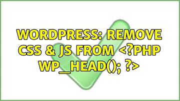 Wordpress: Remove CSS & JS from ＜?php wp_head(); ?＞