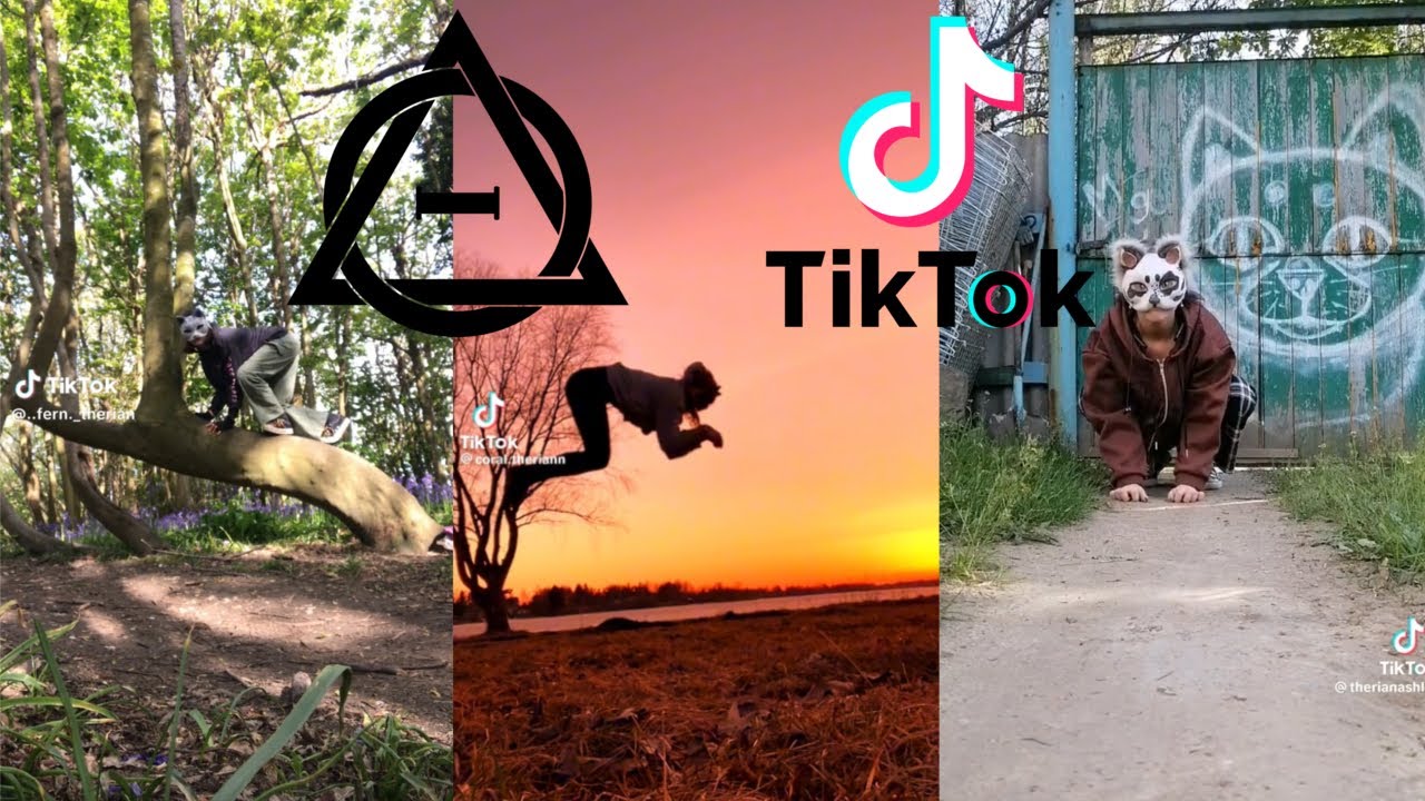 Therian TikTok Compilation #5 