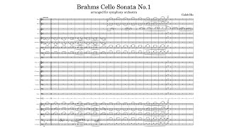 Brahms Cello Sonata No.1 [ORCHESTRATION]