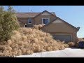 Tumbleweeds Take Over Town