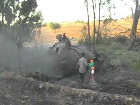 يوم تحرير الدافنية تصوير فرج الواكشي