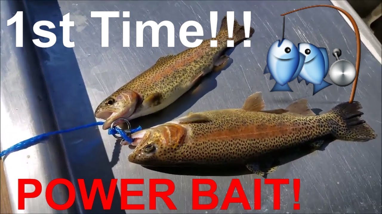 Lake Trout Fishing Branson MO YouTube