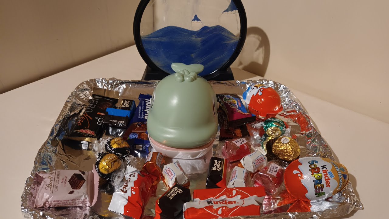 ASMR Satisfying feeding Dolphin with assorted cholates @Annalyn Urmatan@The Jewel's Five ❤️ 🦋 ♥️ 🦋