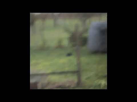 Skee Mask -- mWidit (Edit)