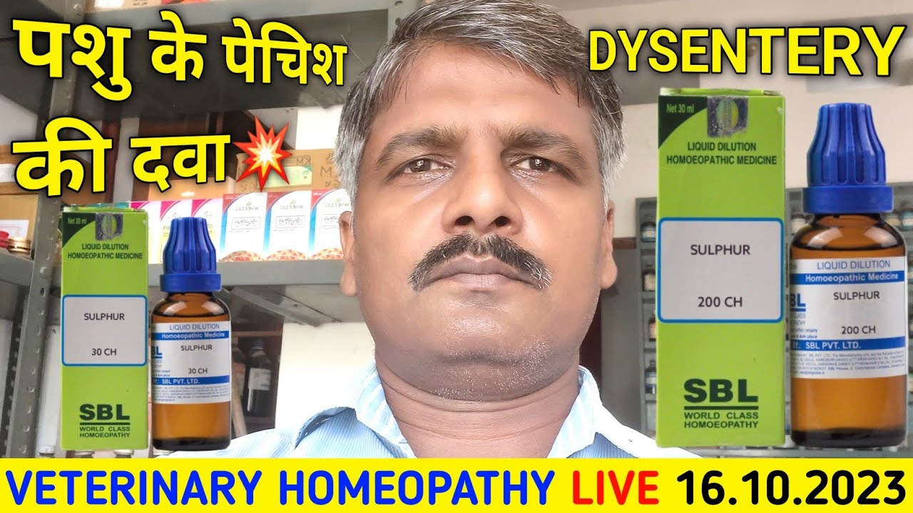 VETERINARY HOMEOPATHY Live Dysentery Treatment veterinary-homeopathy-live-dysentery-treatment
