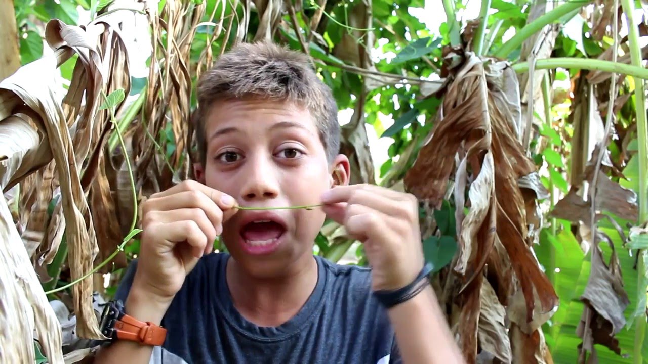 DANGEROUS DO NOT TRY THIS AT HOME - YouTube