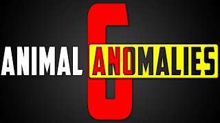 Animal Anomalies 6 (Trailer)