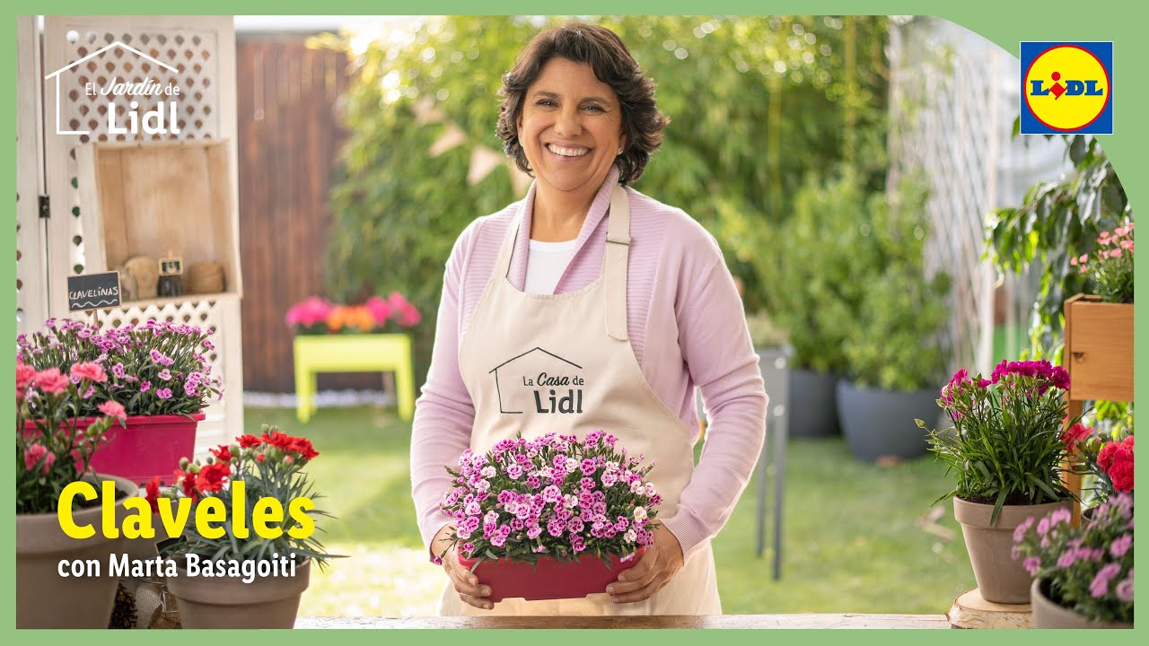 Cómo cuidar tus claveles 💐💙  | El Jardín De Lidl | Lidl España