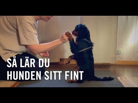 Video: Hur Man Tar Reda På Storleken På En Flickas Finger