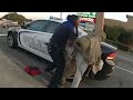 Bodycam: Controversial Arrest Of Homeless Veteran, Dog Tasered. Gastonia, N.C. October 13, 2021.