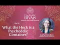 18. What the Heck is a Psychedelic Container?