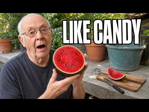 The Watermelon Nobody Grows — Ripe in 55 Days