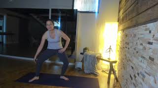 Essentrics® Positional Techniques-Plies