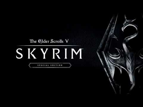 Skyrim специальное издание вылетает