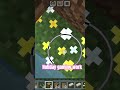 Minecraft world 🌍