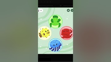 I Used Python to Dominate Google