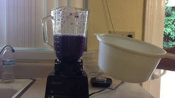 A Homemade pH Indicator Experiment Red Cabbage Juice (Red Cabbage pH Indicator)