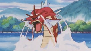 ¡Gyarados furioso! | Pokémon: Master Quest | Clip oficial