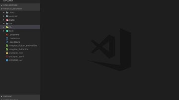 02-flutter-preview-00-01-Flutter 中文教程：准备项目