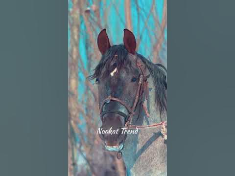 Красавчик - YouTube