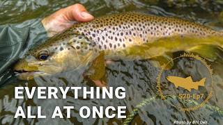 PODCAST: Fighting Fish: Everything All At Once - S20, Ep7