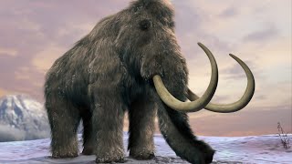 5 ऐसे जीव जो दुनिया से विलुप्त हो चुके हैं.Part 1 #debxyz  prehistoric animals #ancient #prehistoric