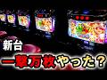 【新台】沖ドキで一撃万枚やった? [沖ドキ!DUO アンコール] 桜#802