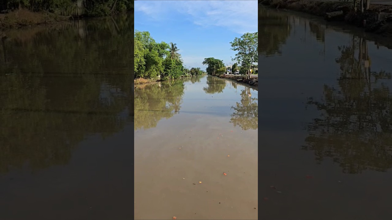 Local Vibes in Thailand 