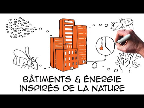 Vidéo: Architecture Pour Le Développement économique