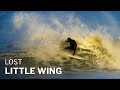Lost little wing review with jason forrest