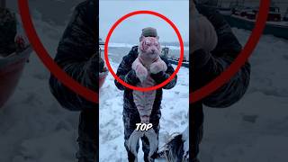 Top 3 Rare Sea Creatures Youve Probably Never Seen Before