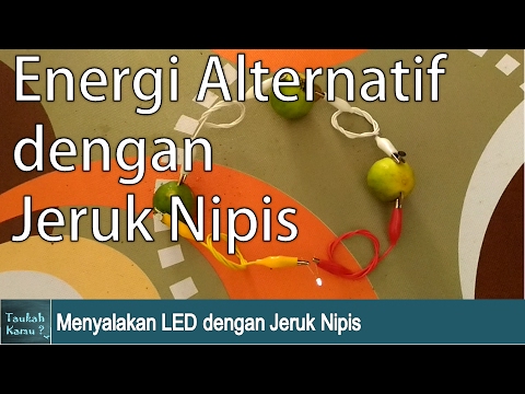 Menyalakan Lampu dengan Jeruk Nipis