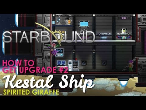 repair your ship starbound