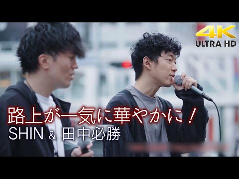 【 歌うま 】路上が一気に華やかに！  オリジナル曲「ラビリンス」" SHIN & 田中必勝 " 新宿路上ライブ 4K映像