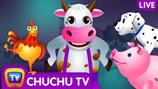 Farm Animals, Wild Animals & More ChuChu TV Surprise Eggs Learning Videos - Live Stream Farm Animals, Wild Animals & More ChuChu TV Surprise Eggs Learning Videos - Live Stream