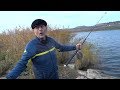 Загадочное озеро кравцово в Ставропольском крае / Плавучий остров