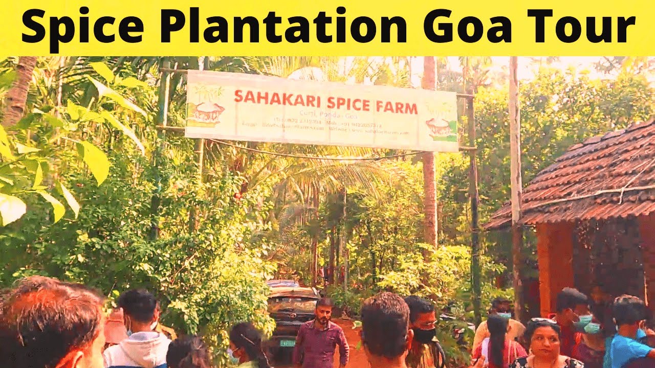Spice Plantation Goa Tour | Spice Plantation Tour in Hindi Vlog | Goa ghumne ki famous jagah
