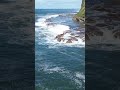 AVOCA POINT- #crankycoastline #longboard #johnny #locallegend #everyday #lovesit #puddleofmudd