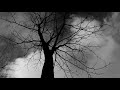 【MV】枯葉のワルツ/飯島玄麒 Waltz of The Falling Leaves/Genki Iijima monochrome ver.