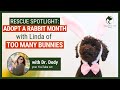 Rabbit Care with Linda of Too Many Bunnies Rabbit Rescue | Proper Bunny Care | Rabbit Nutrition