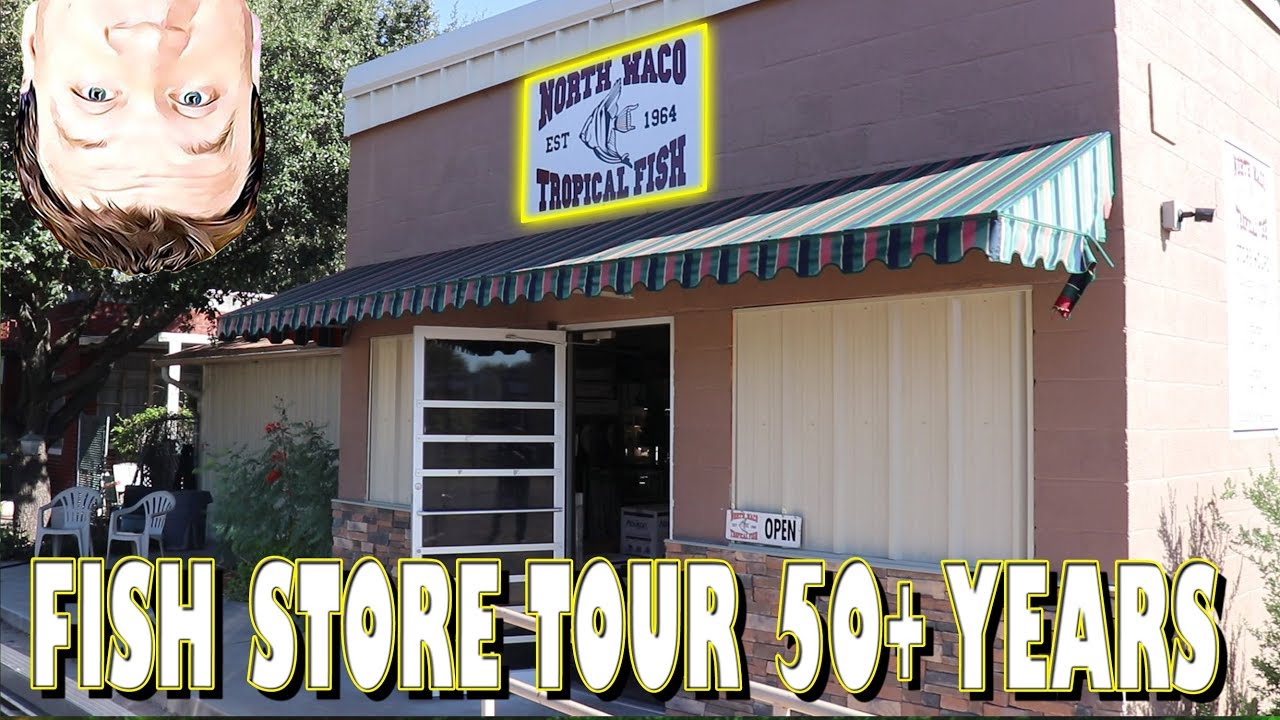 Awesome Tropical Fish Store Tour - Over 50 Years in