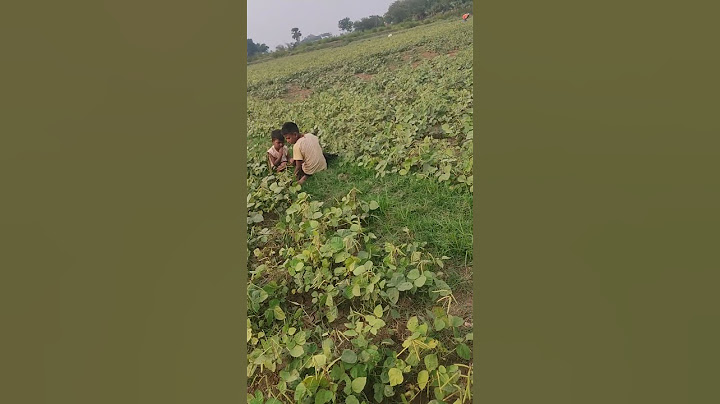 अचानक से क्या हुआ पूरे गाव में 😨 #trending #emtionalstory #emotional #shortsfeed #tree #viral #maa