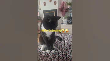 MILO LISTENING TODAY 