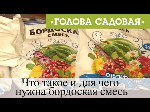 Голова садовая Что такое и для чего нужна бордоская смесь