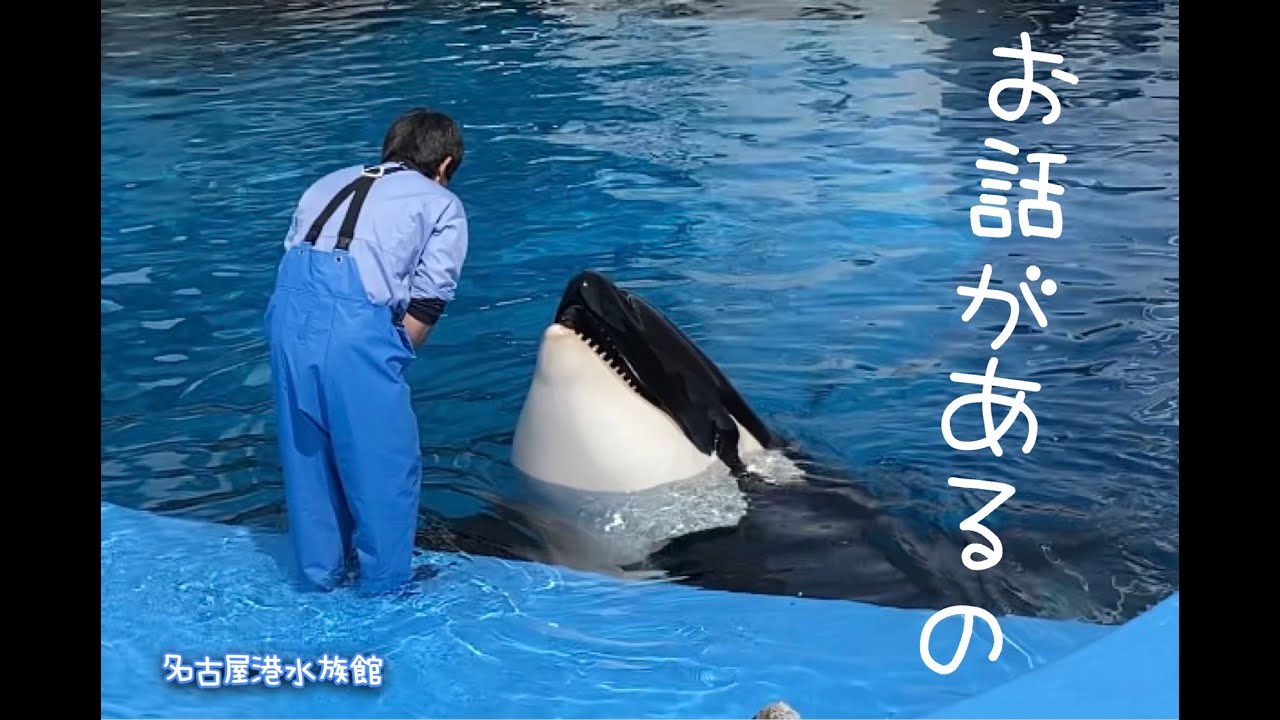 おしゃべりが多めな朝の「アース」４/８　＠名古屋港水族館