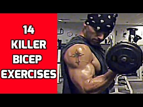 14 Killer Bicep Exercises to mix up your Arm Workouts